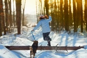 winter runs with dogs