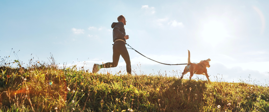 Man runs with his beagle dog at sunny morning