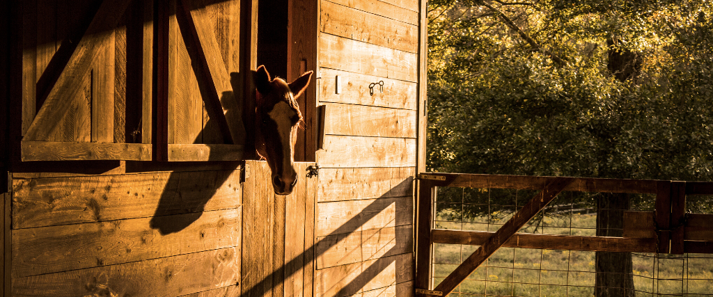 Horse barn.