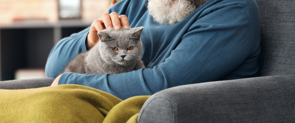 Senior man holding old cat