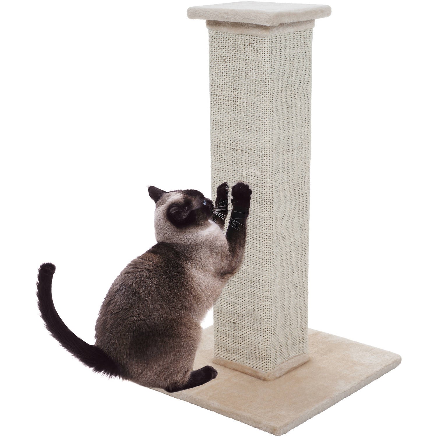 Training Your Cat To Scratch Appropriately   08 Cat Scratching Post Small 