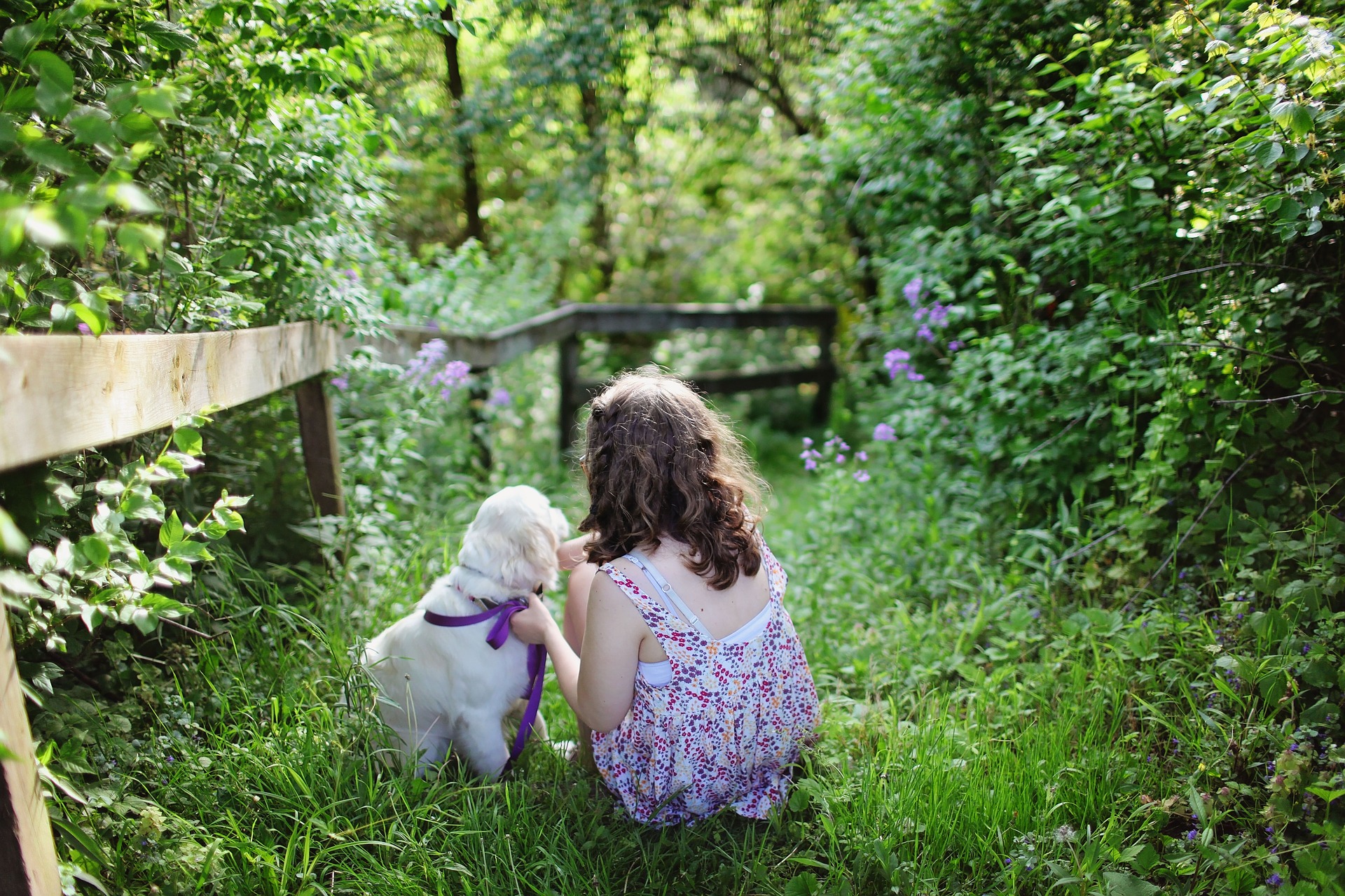 Puppy Socialization - Best Friends!