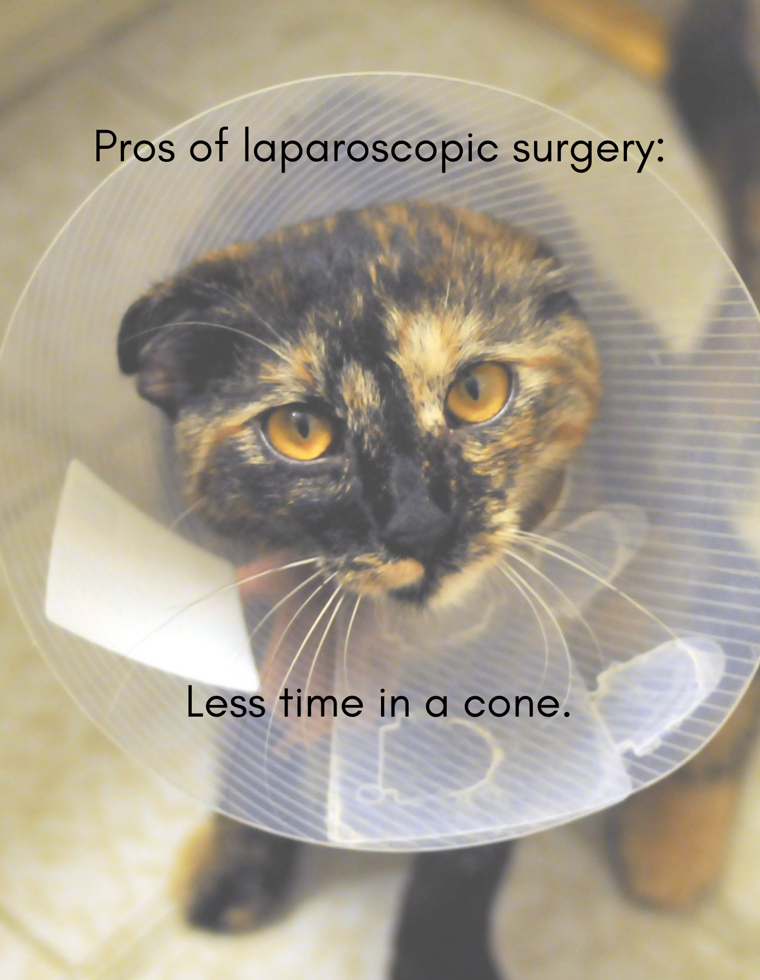 Laparoscopic surgery has many advantages, including a quicker recovery.