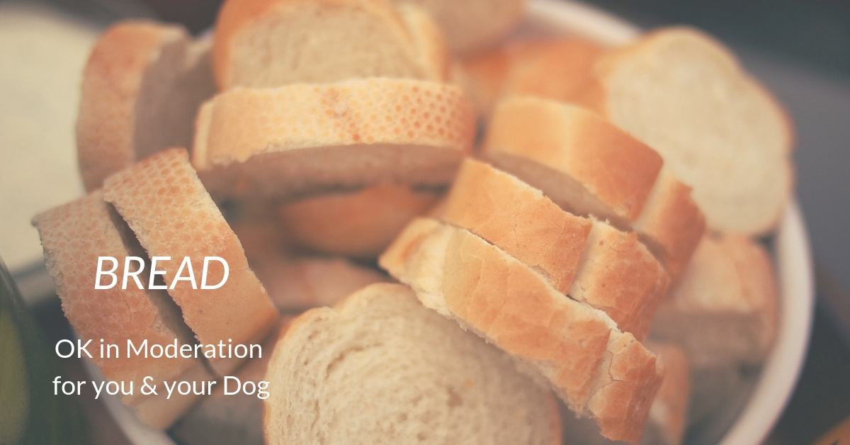 Bread: OK in Moderation for your and your Dog