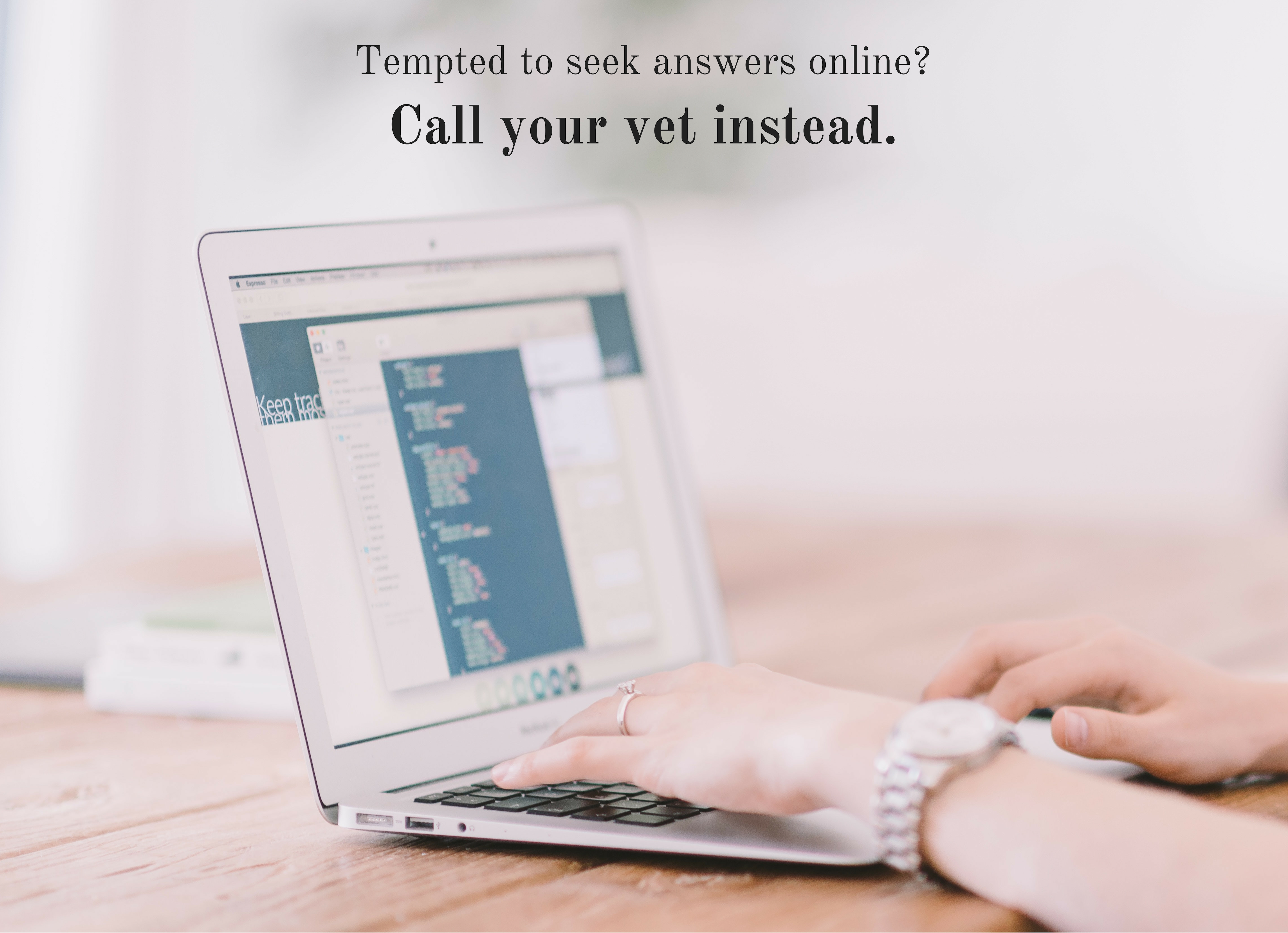 Tempted to seek answers online? Call your vet instead.