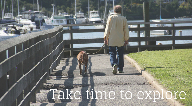 Dogs should walk, sniff, and explore each day