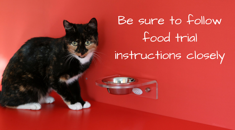 Be sure to follow food trial instructions closely