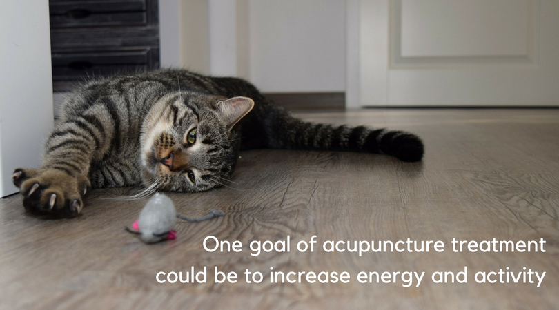 One goal of acupuncture is to increase energy and activity
