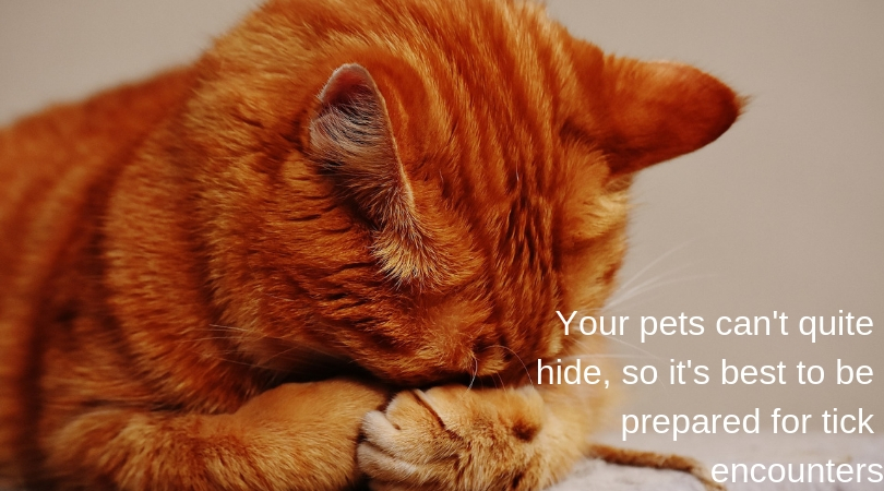 Your pets can't quite hide, so it's best to be prepared for tick encounters
