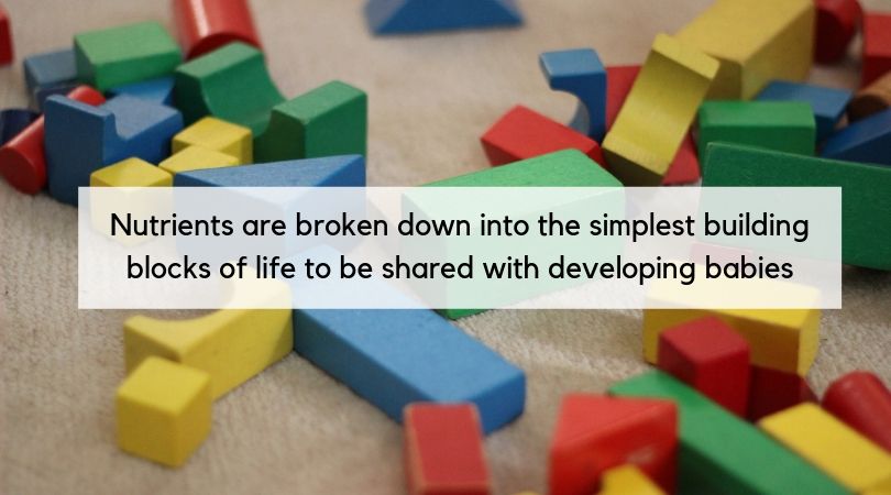 Toy building blocks