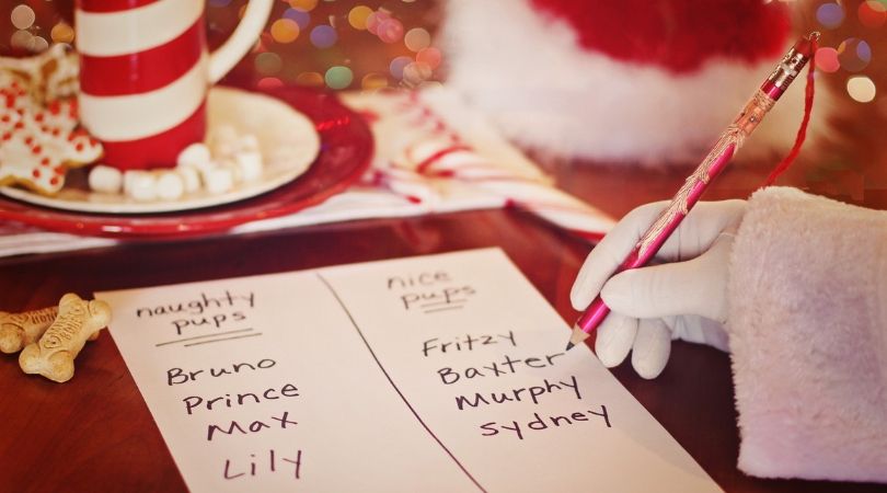 Santa’s Naughty and Nice List for pets