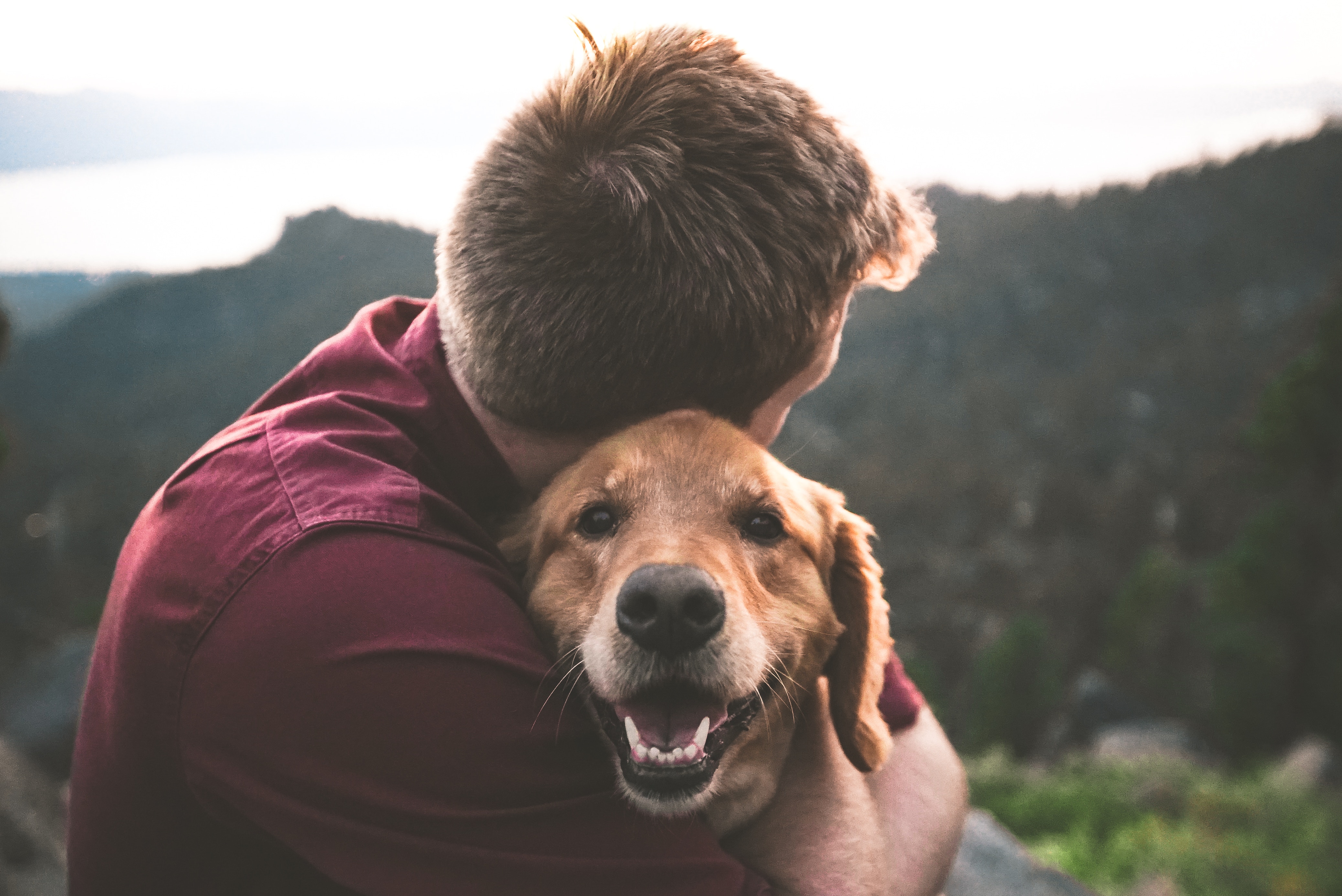 As veterinary medicine continues to advance, companion animals are living longer than ever—and pet insurance is a great way to ensure you can provide the care yours will need along the way.