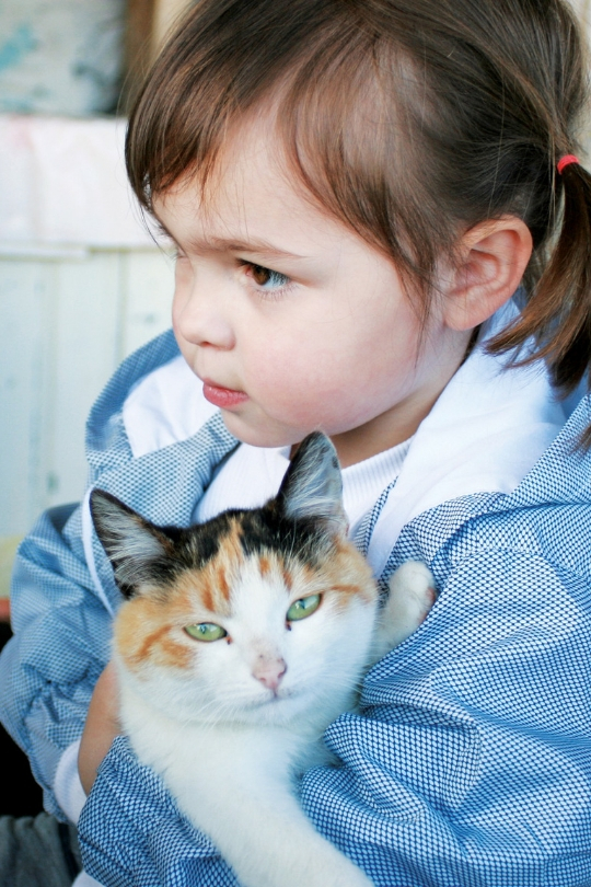 Photo of a cat in a young girl's arms