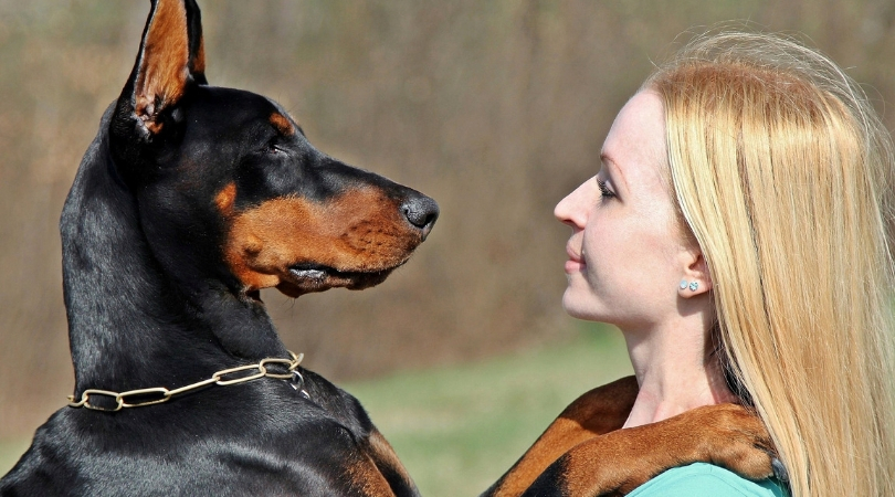 Photo of woman with Doberman's paws on shoulders, like a hug