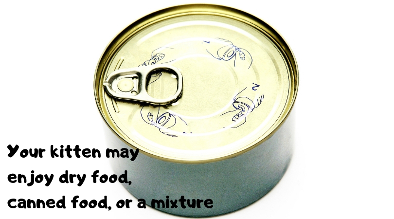 Photo of a can of cat food