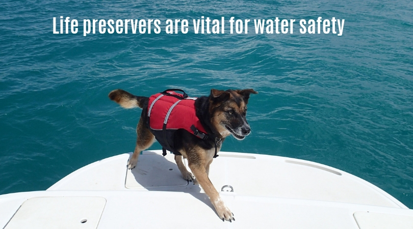 Photo of a dog wearing a life preserver while on a boat
