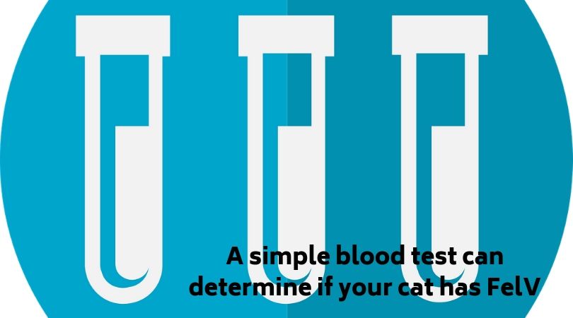 Illustration of test tubes