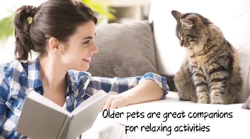 Woman reading book next to cat