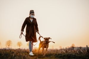 pets make us healthier