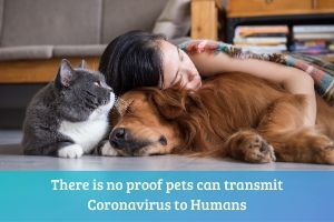 pets can't give humans coronavirus
