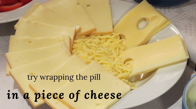 A plate of cheese slices