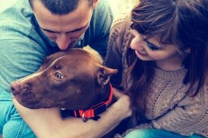 reuniting with pets after disaster