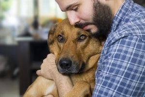 saying goodbye to your dog