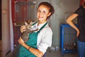 dogs and cats in shelters are clean