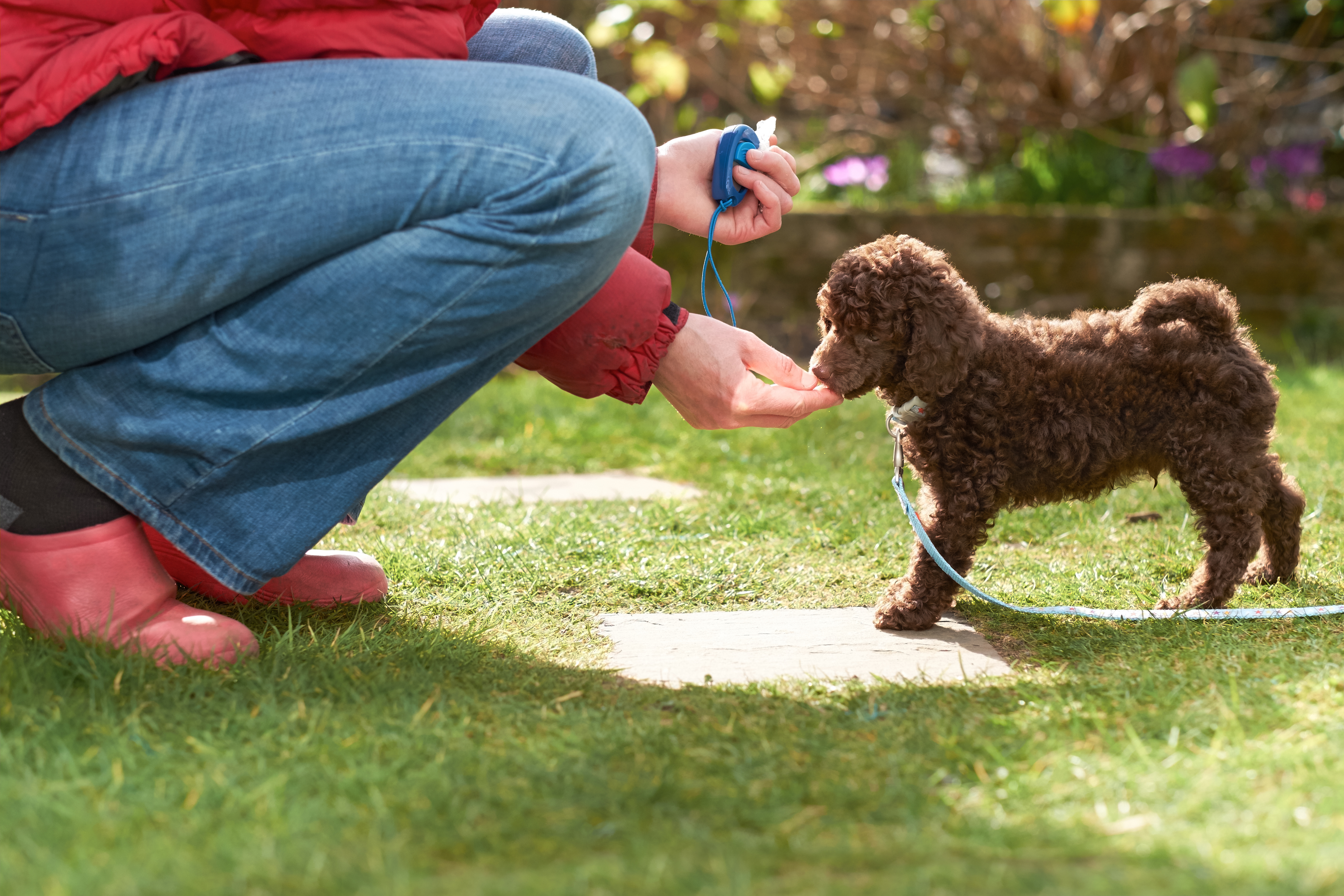 “treats