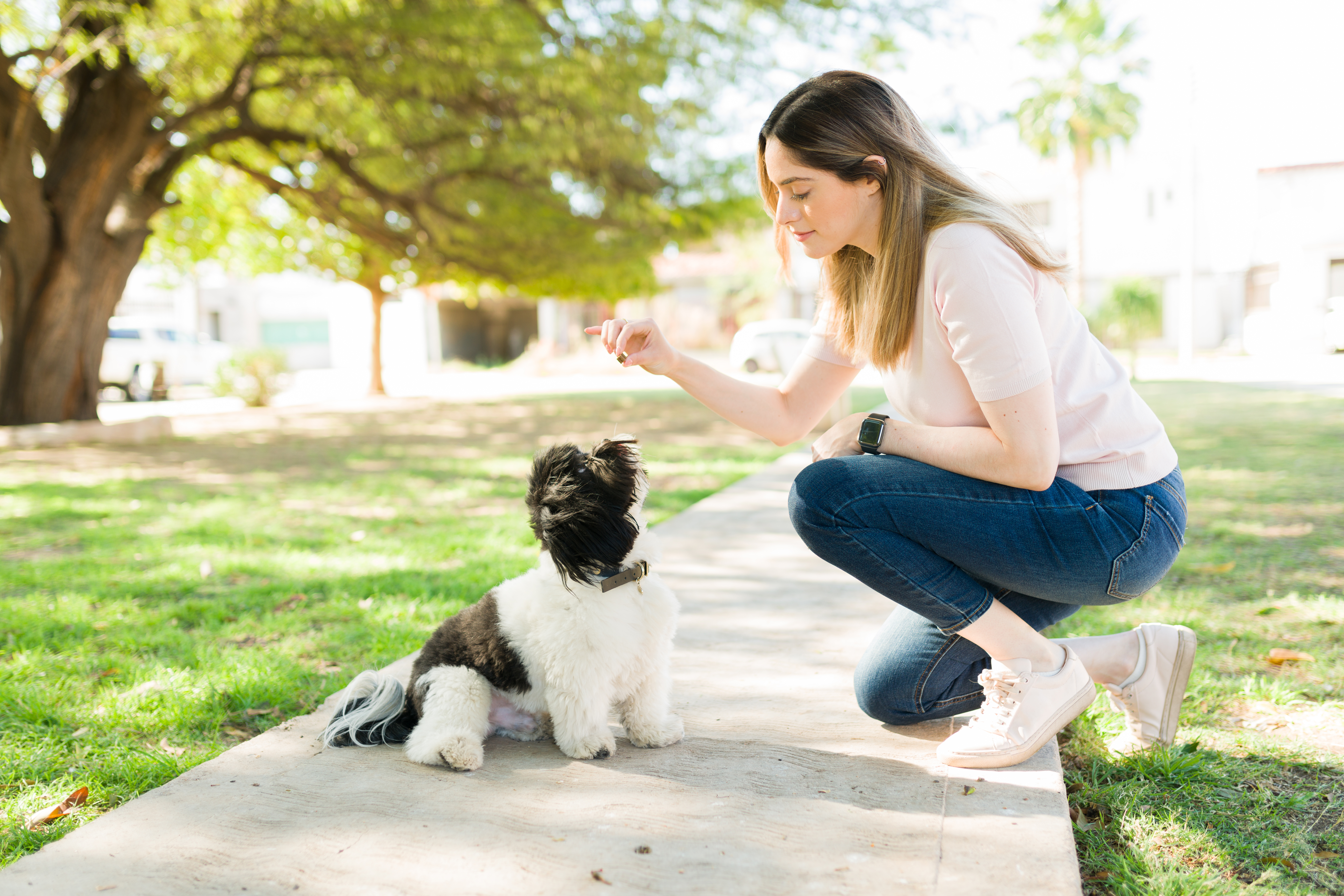 brachycephalic dog weight management