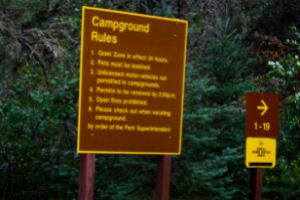 campground rules for pets