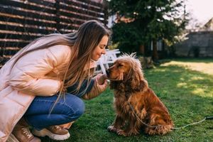 checking yard for spring pet dangers