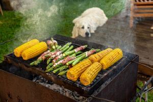 dangers of BBQs and dogs