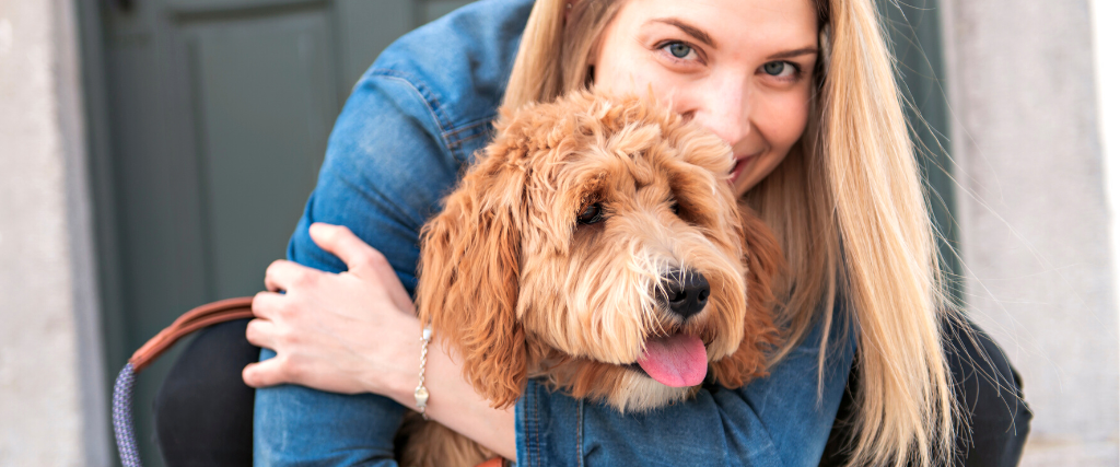 Labradoodle Dog and woman outside on balcony.