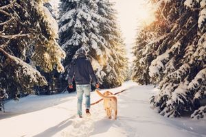 getting your dog exercise in the winter