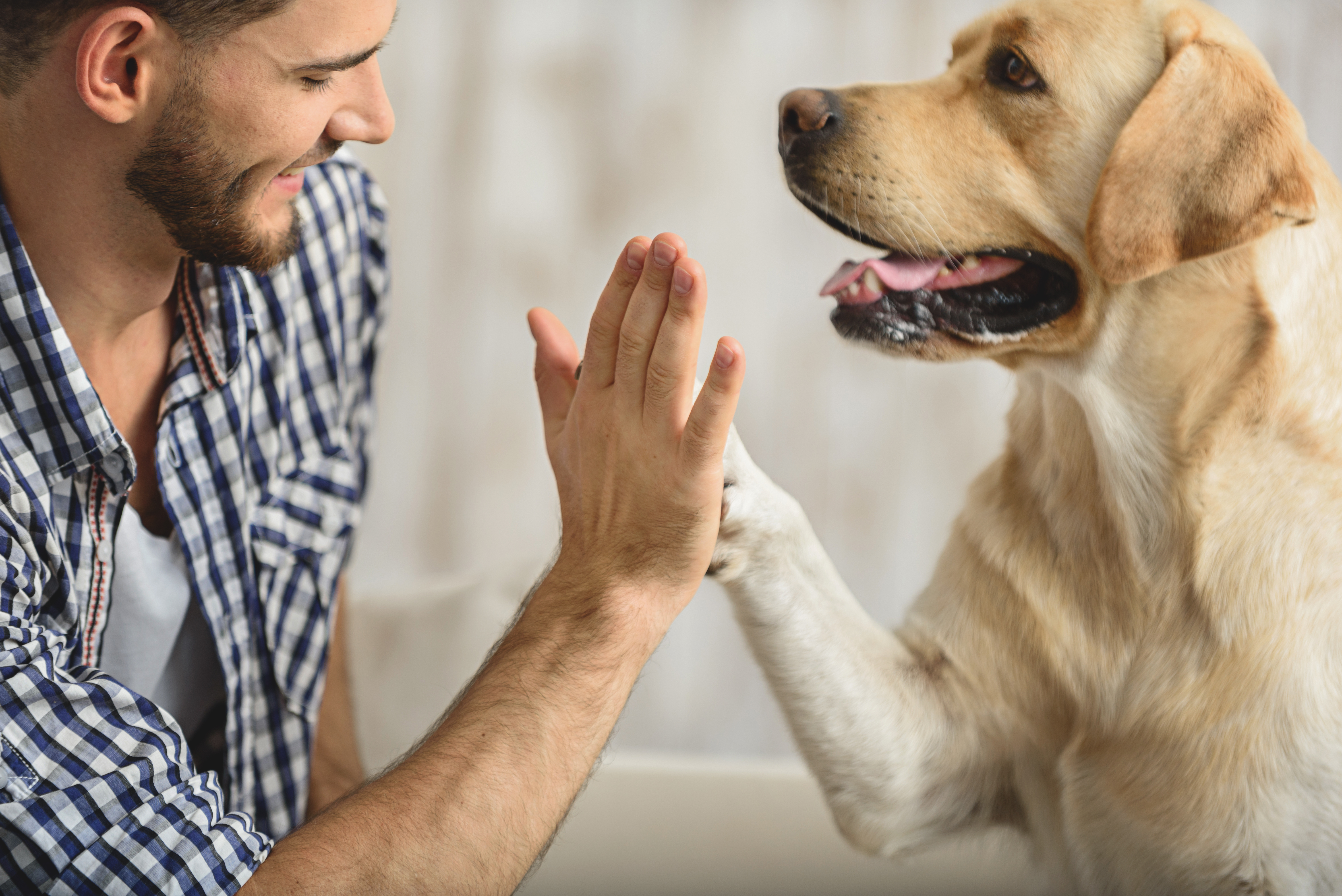 dogs boost self esteem