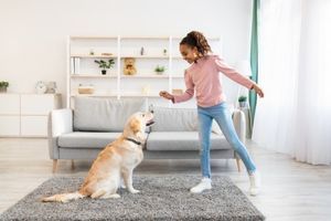 treats for dogs with separation anxiety