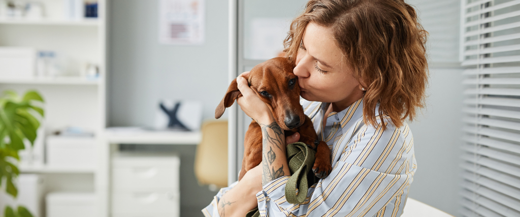 Contemporary young woman giving kiss to brown dachshund while holding her cute pet on hands in lounge of veterinary hospital