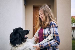 low key goodbyes for dogs with separation anxiety