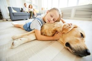 napping with pets