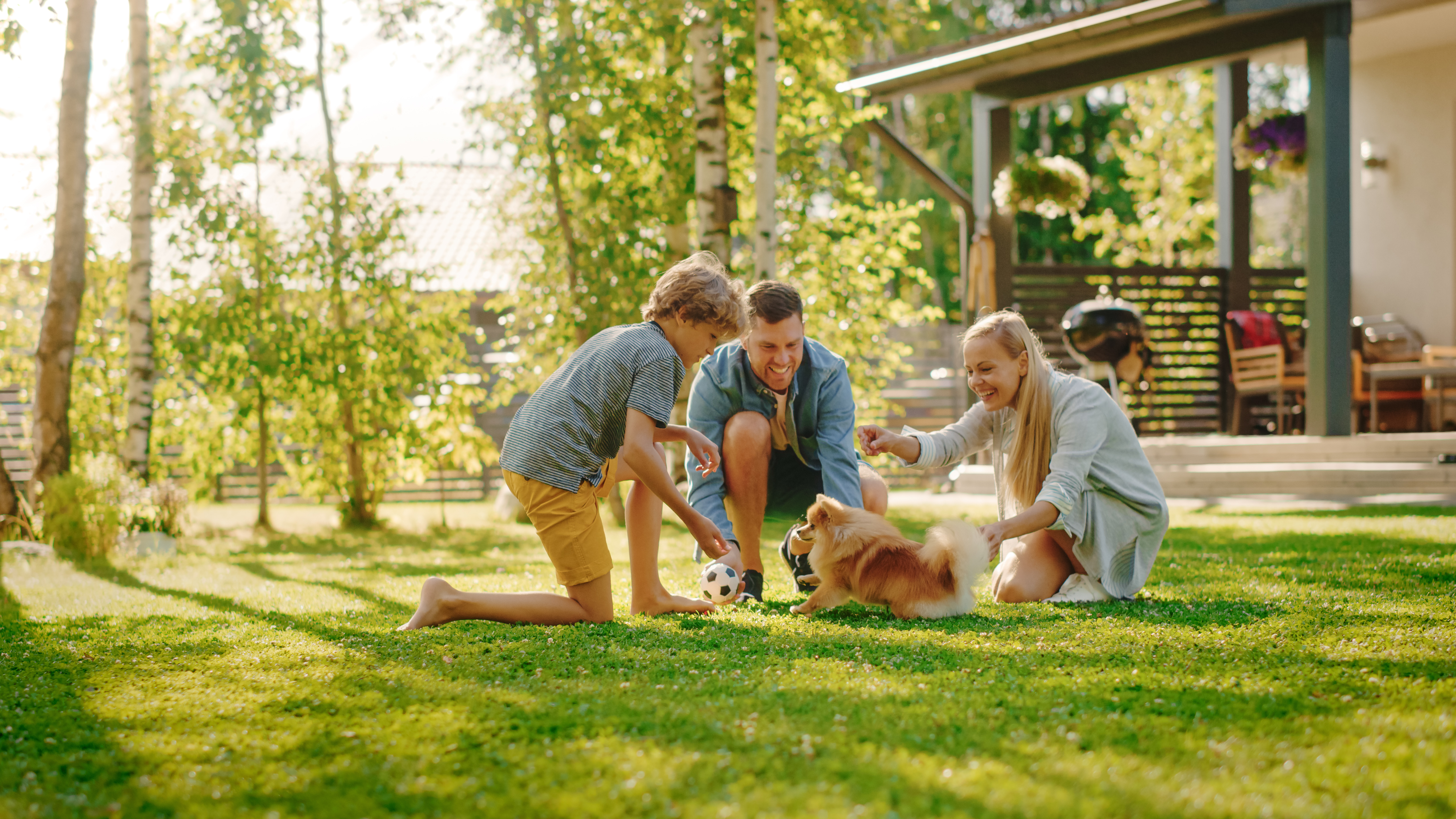 family agreements for puppies