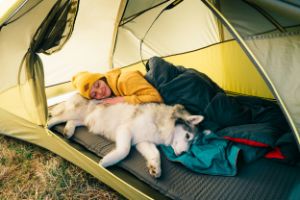 be safe and sleep with pets in tents