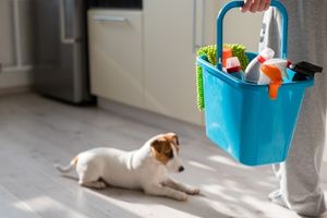 spring cleaning pet items