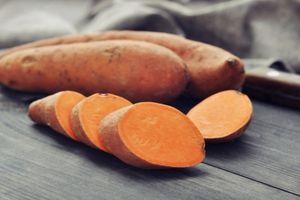 sweet potatoes and starches healthy for pets