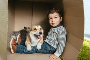 teach kids to carefully interact with dogs