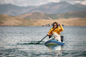 watch for water hazards when paddleboarding with dogs