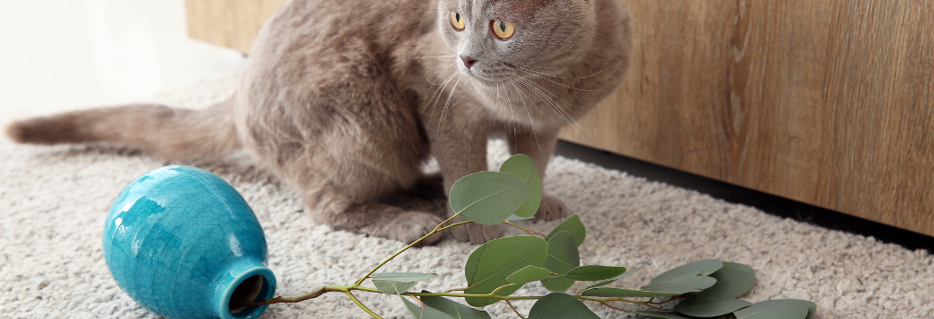 Cat sitting next to a vase and plant that it has knocked over