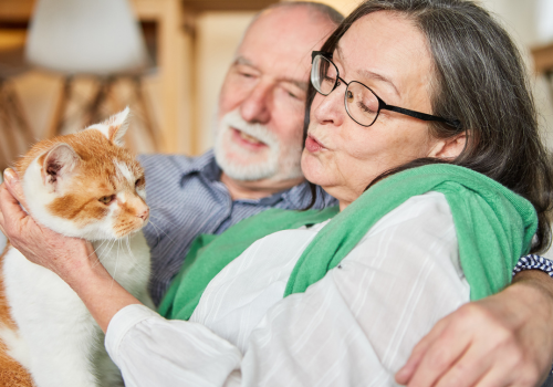 Grandma and grandpa with orange and white cat.