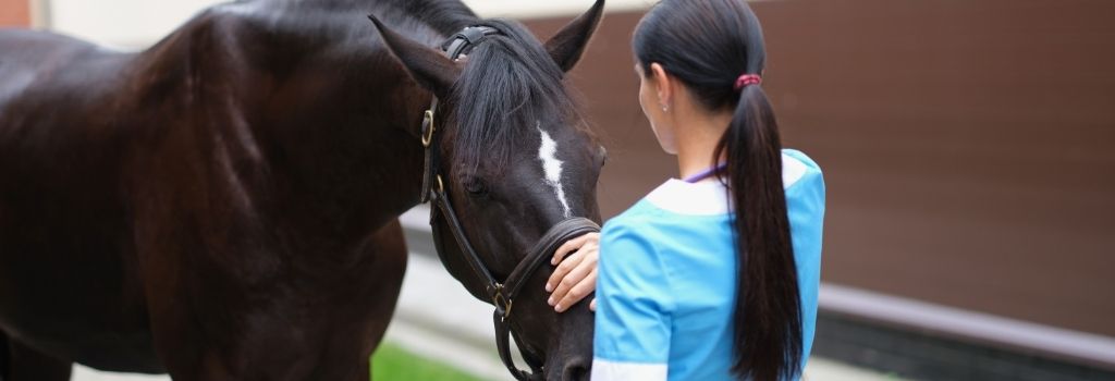 Horse getting wellness exam from female veterinarian.