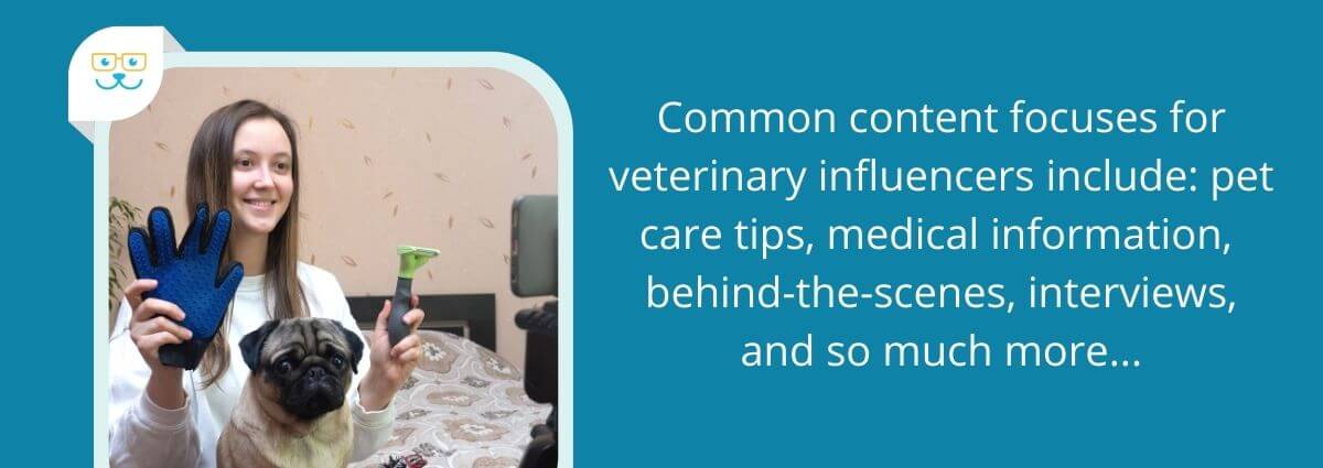 Common content focuses for veterinary influencers include: pet care tips, medical information, behind-the-scenes, interviews, and so much more